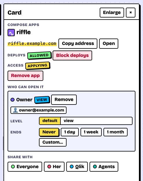 The card panel of the riffle app: its address, deploys allowed, and who can open it